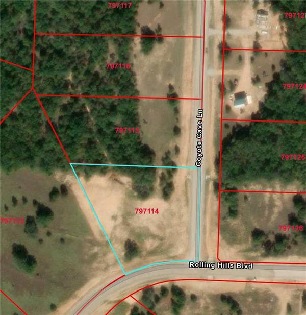 Alvord, TX 76225,TBD Lot 109 Coyote Cave Lane