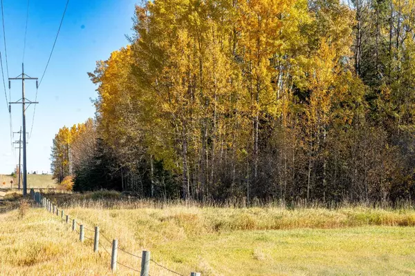 Rural Clearwater County, AB T0M 0C0