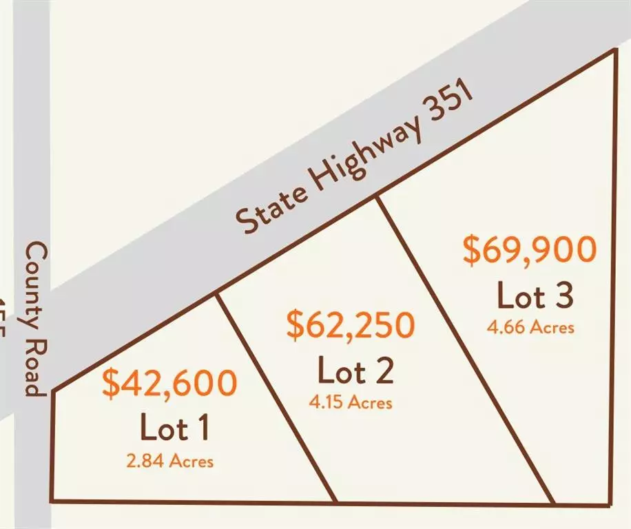 Abilene, TX 79601,TBD Lot 3 351 Highway