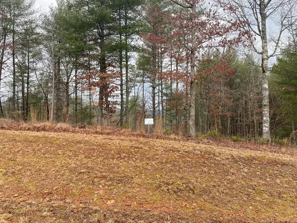 Lot 95 River Mountain Road, Murphy, NC 28906