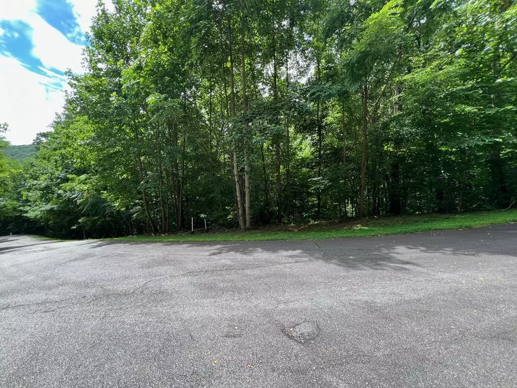 Young Harris, GA 30582,00 Overlook Drive