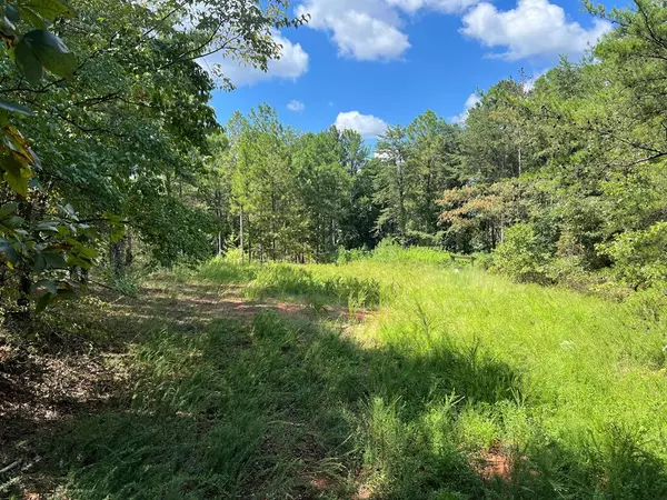 Adairsville, GA 30103,321 Rockfence Road