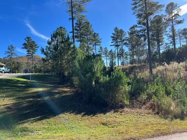 Blairsville, GA 30512,Lot 313 The Cove @ 1300