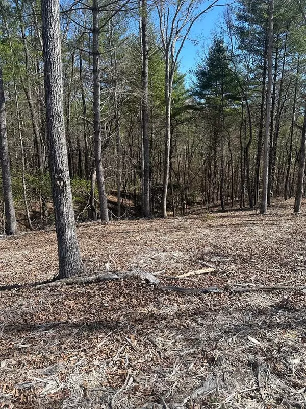 Lot 188 The Ridges, Morganton, GA 30560