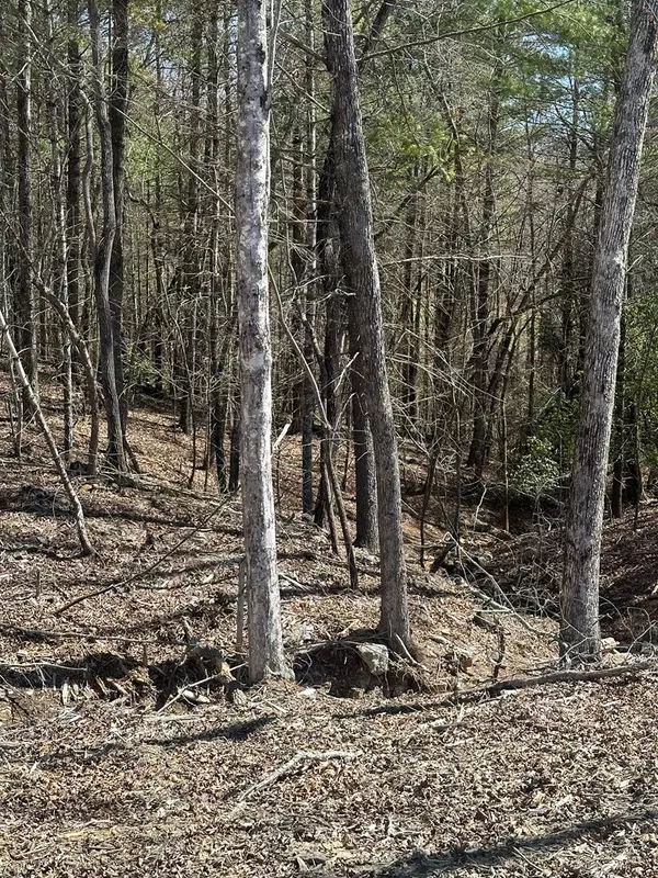 Morganton, GA 30560,Lot 188 The Ridges