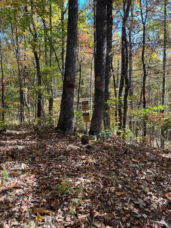 Hiawassee, GA 30546,Lot 9 Black Bear Trail