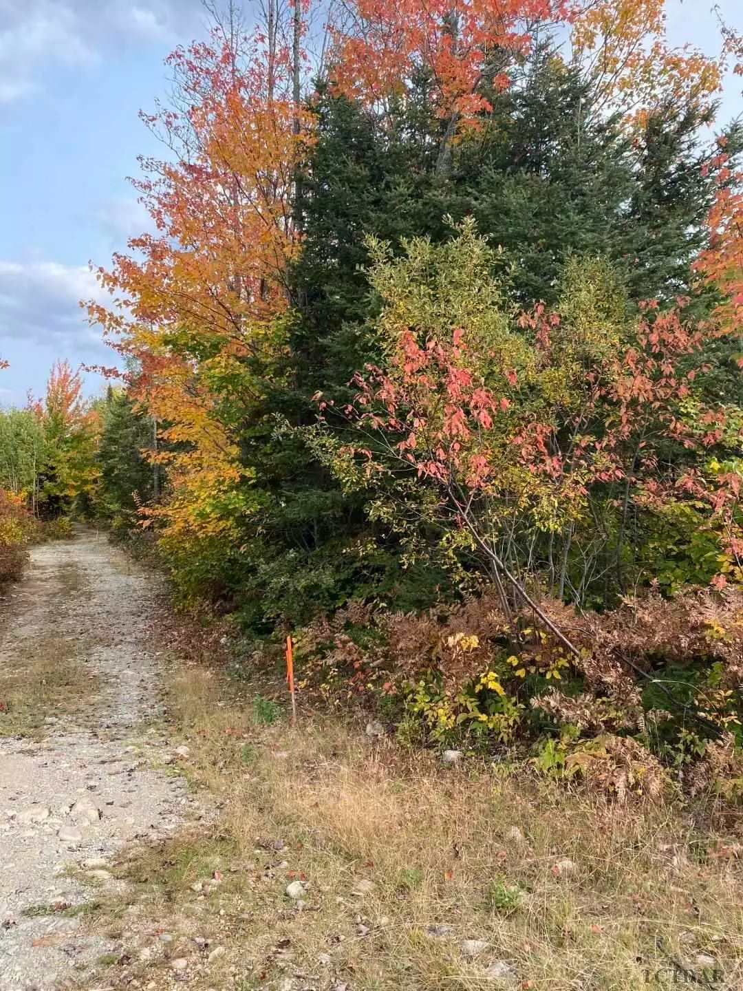 Timiskaming Remote Area, ON P0J 1H0,L1 C1 South 1/2 Lot 1 Con 1 RD