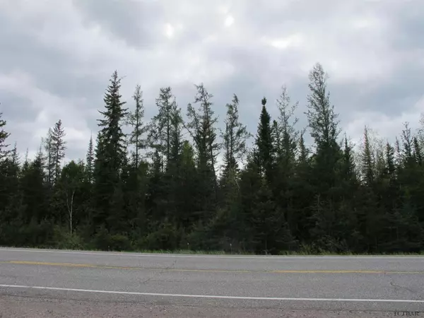 Timiskaming Remote Area, ON P0K 1T0,PCL 4577 11