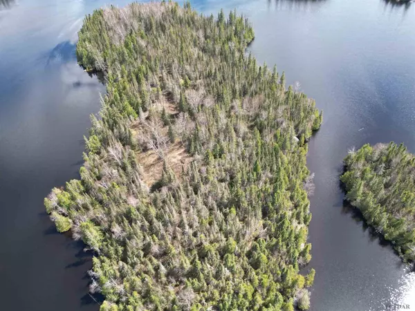 Timiskaming Remote Area, ON P0K 1S0,Lots 133,134 PCL 4554 Island Hs 877A  570