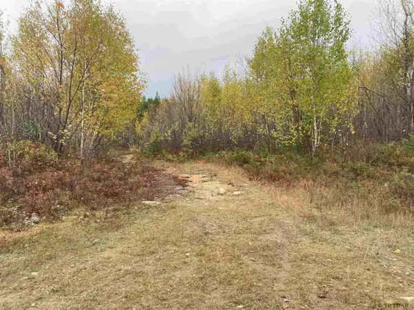 Timiskaming Remote Area, ON P0J 1H0,L1 Concession 1, Catharine RD