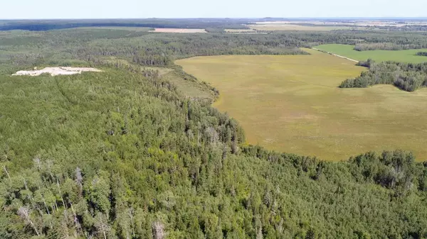 Timiskaming Remote Area, ON P0J 1E0,LT7 Cn1 Beauchamp/Henwood Boundar RD