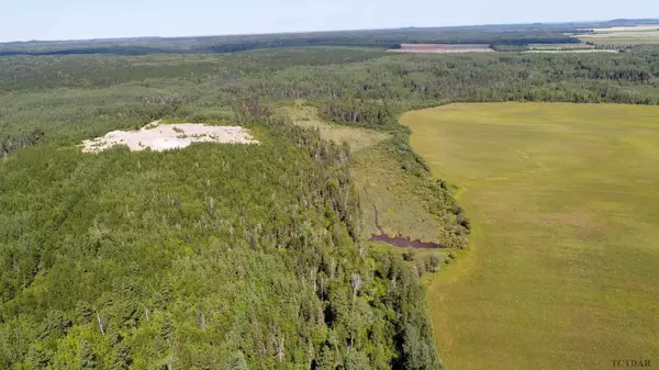 Timiskaming Remote Area, ON P0J 1E0,LT7 Cn1 Beauchamp/Henwood Boundar RD