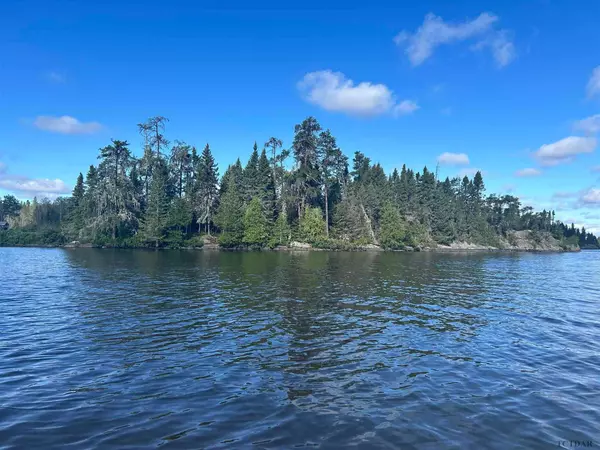 Timiskaming Remote Area, ON P0K 1S0,ISLAND SESEKINIKA LAKE N/A