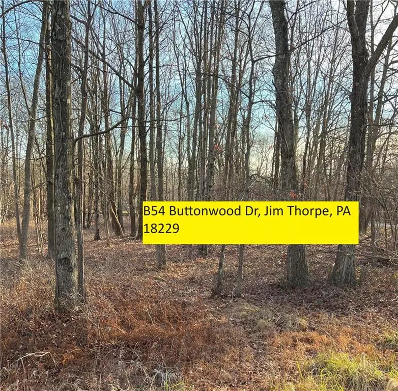 Penn Forest Township, PA 18229,Buttonwood Drive #B54