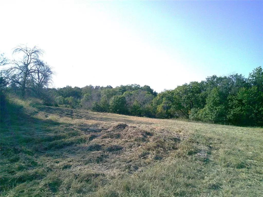 Paradise, TX 76073,31 ac CR 3677