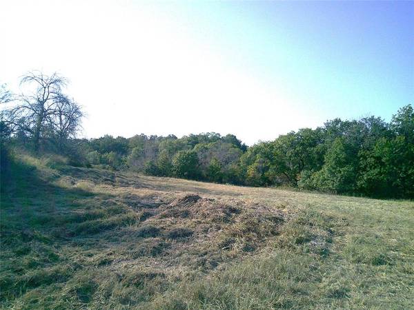 31 ac CR 3677, Paradise, TX 76073