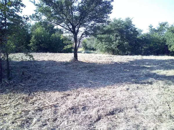 Paradise, TX 76073,31 ac CR 3677