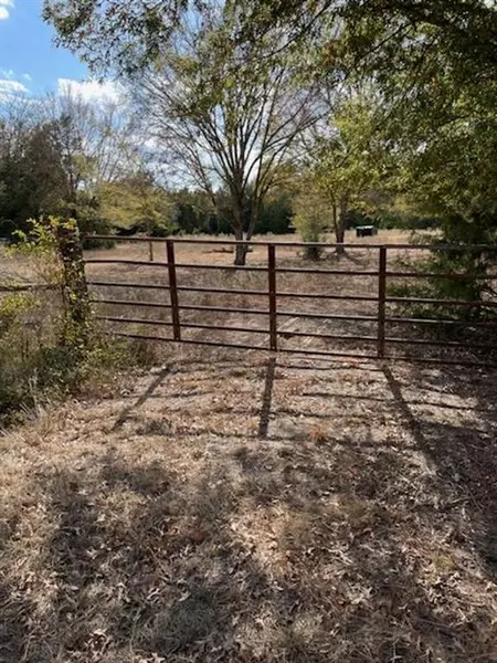 0 An County Road 2805, Tennessee Colony, TX 75861