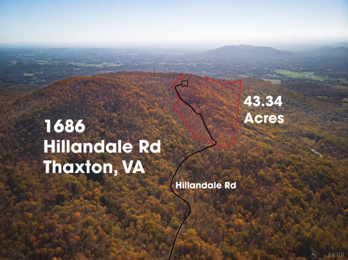 Thaxton, VA 24174,1186 Hillandale RD