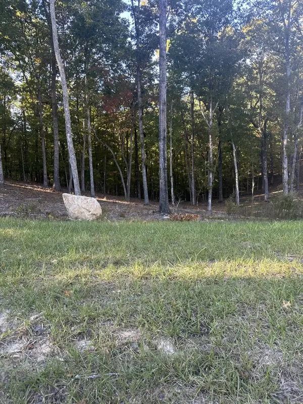 Morganton, GA 30560,Lot 42 Ridge Dr