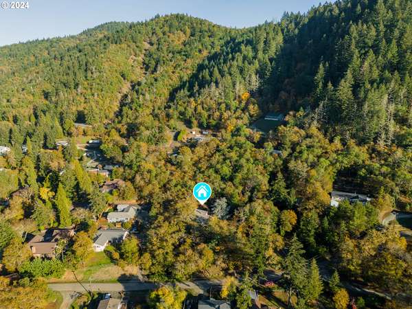 Myrtle Creek, OR 97457,689 JODEE ST