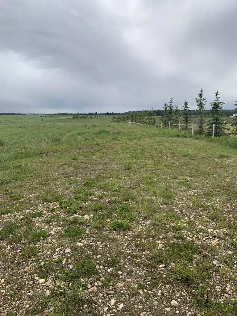 Rural Ponoka County, AB T4J 1R3,254063 TWP RD 424