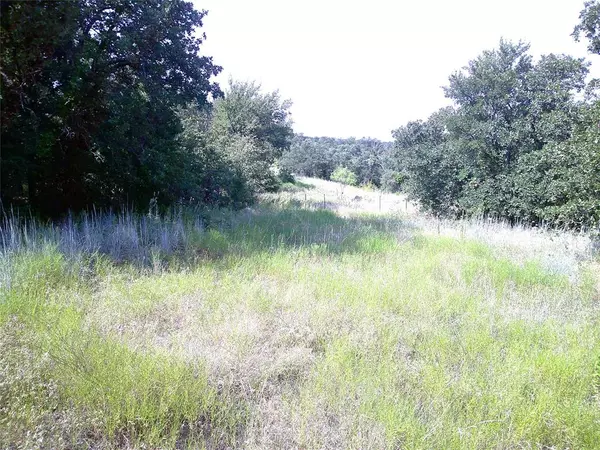 Springtown, TX 76082,18 ac CR 3757