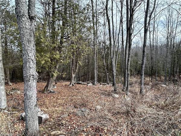 269 9TH CONCESSION RD, Stone Mills, ON K0K 1Z0