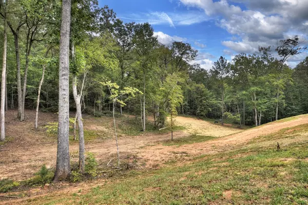 Ellijay, GA 30506,830 Turtle Ridge Road