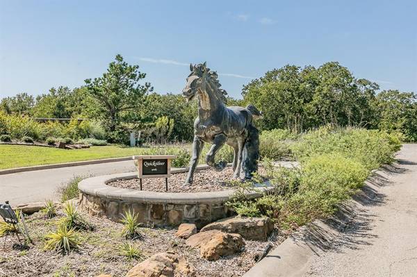 Bowie, TX 76230,Lot 555 Lake Horizon Court