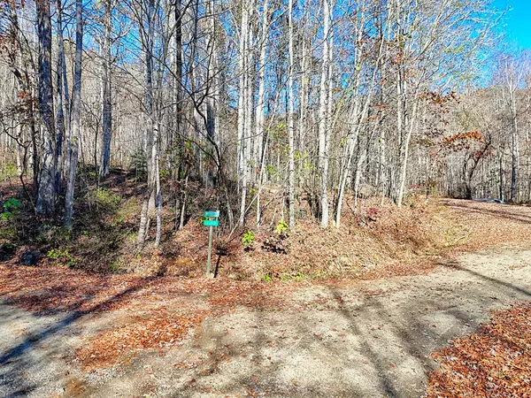 Hayesville, NC 28906,Lot 11 Noel Ridge