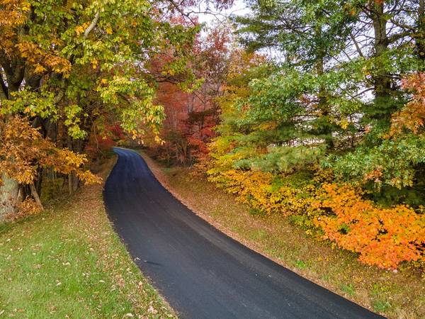 Indian Valley, VA 24380,TBD Shady Grove Road