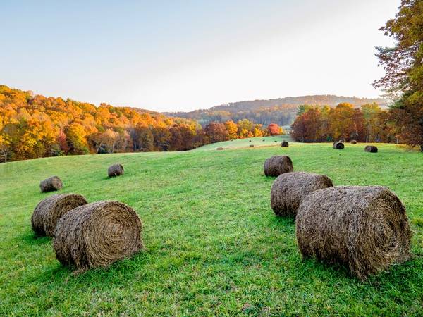 Indian Valley, VA 24380,TBD Shady Grove Road