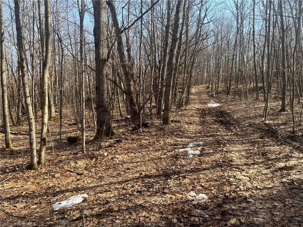 Addington Highlands, ON K0H 1L0,PT LOT 15 SLATE FALLS RD