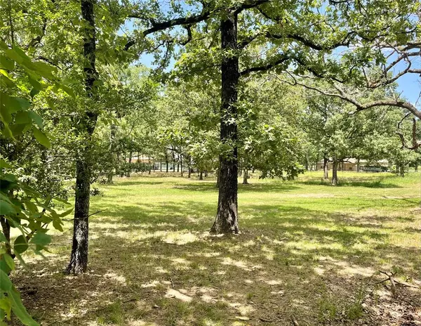 Yantis, TX 75497,TBD County Road 1996