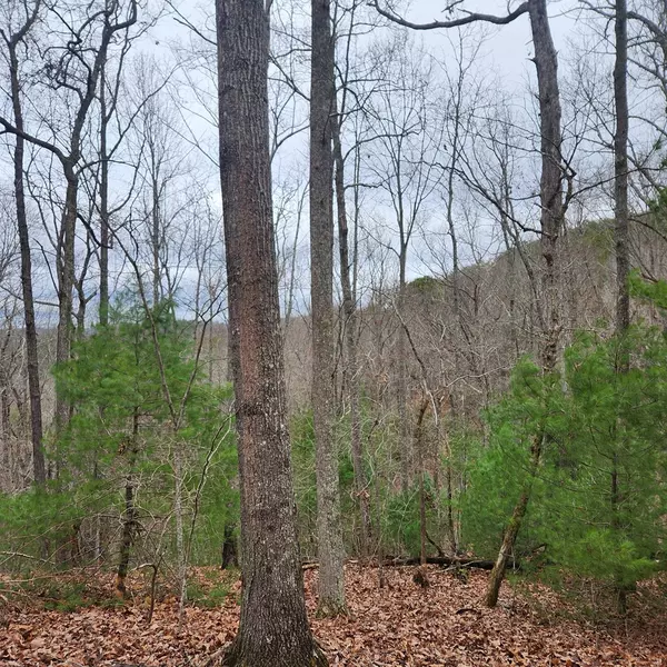 Mineral Bluff, GA 30559,7.72 ac Tower Road