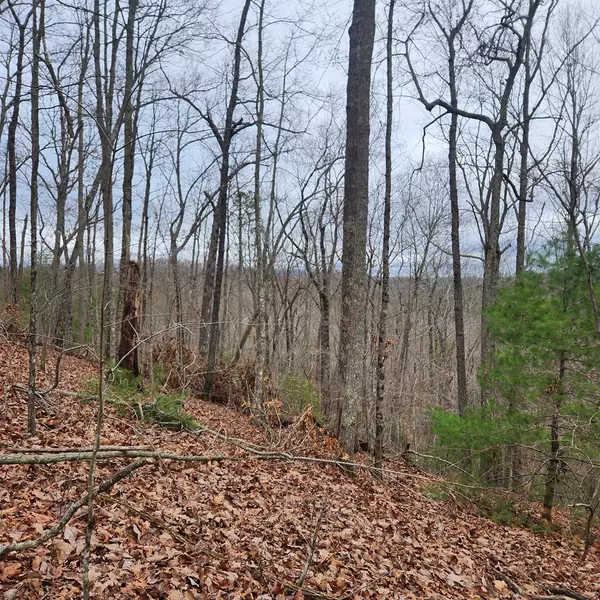 Mineral Bluff, GA 30559,7.72 ac Tower Road