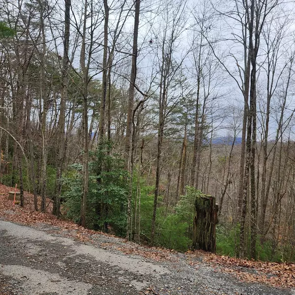 Mineral Bluff, GA 30559,7.72 ac Tower Road