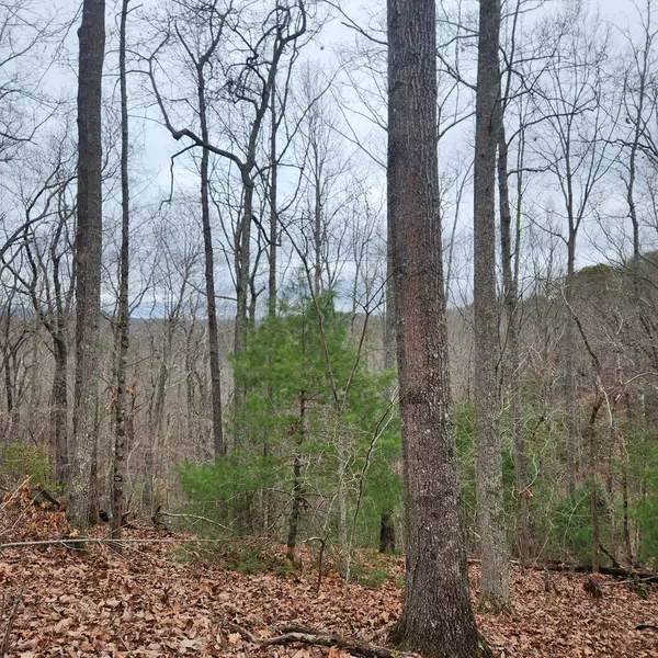 Mineral Bluff, GA 30559,7.72 ac Tower Road