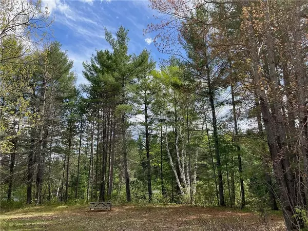 Madawaska Valley, ON K0J 1L0,Lot 35 SANDY SHORES TRL