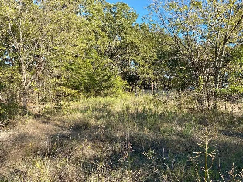 Lot 506 Amy Drive, Hawk Cove, TX 75474