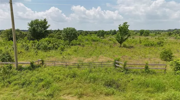 Kerens, TX 75144,Lot 2 NE Country Road 2190