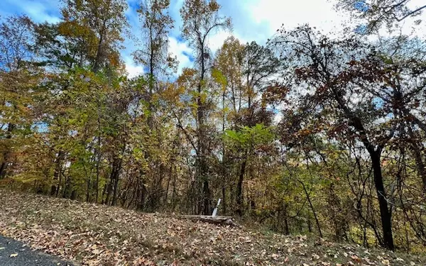 Young Harris, GA 30582,Morgan Creek Lot 6