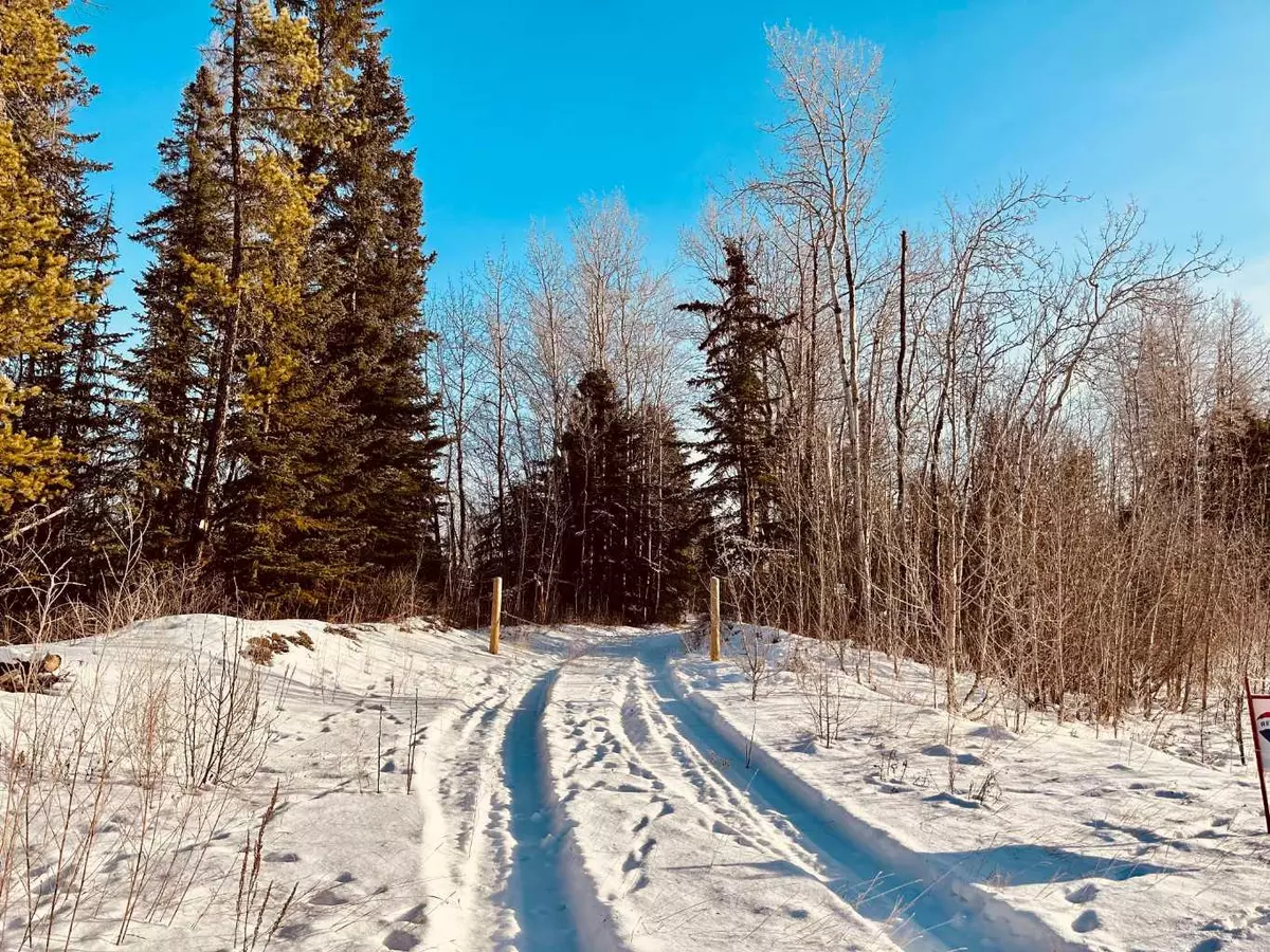 Rural Grande Prairie No. 1 County Of, AB T8W 5K1,SW-21-70-6-6