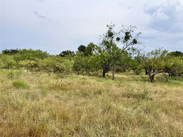 May, TX 76857,TBD LOT 1145 Lake Crest Drive