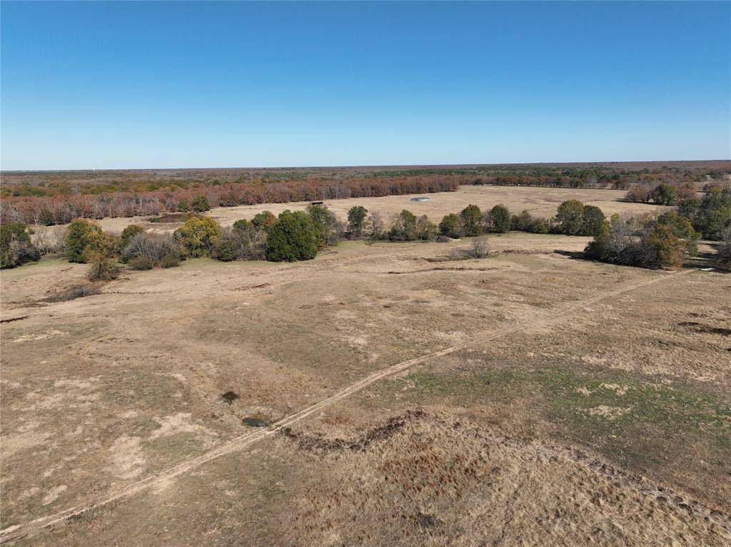 Paris, TX 75462,0000 County Road 43830