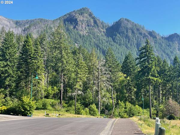 Cascade Locks, OR 97014,215 SW STERNWHEELER DR