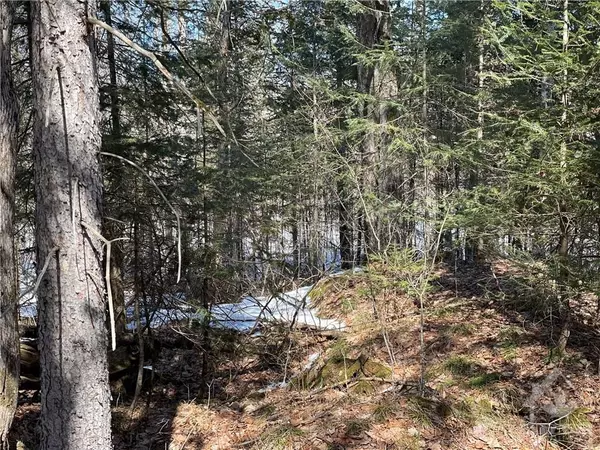 Greater Madawaska, ON K0J 1H0,Lot 12-Con10 BARRYVALE RD