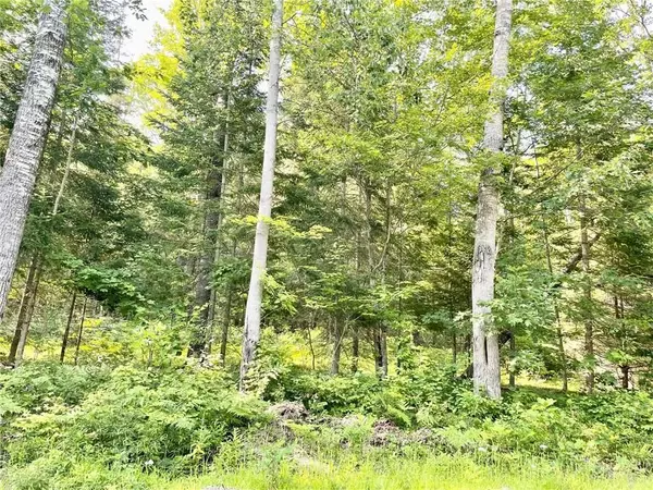 Lot A CHIPPAWA RD, Madawaska Valley, ON K0J 1B0