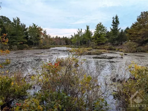 Rideau Lakes, ON K0G 1X0,0 MOUNTAIN RD